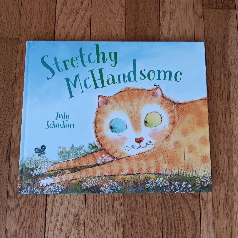 Stretchy McHandsome Children's Book